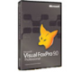 Visual FoxPro Professional