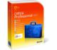 Microsoft Office ���������������� 2010